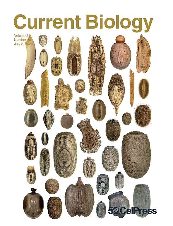 Current Biology cover