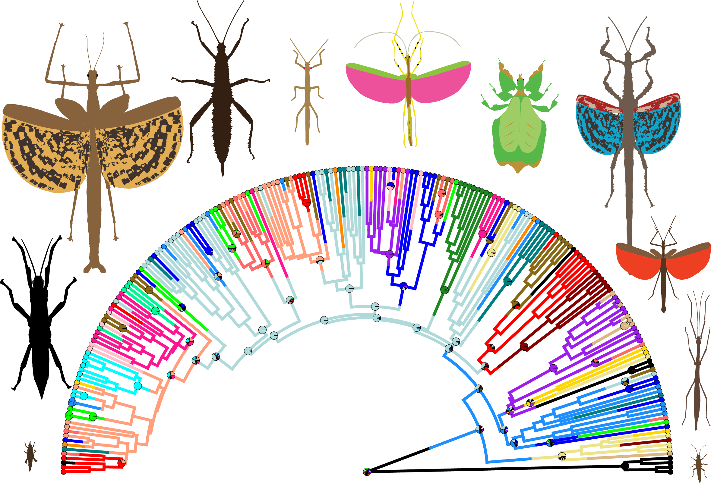 Project 1